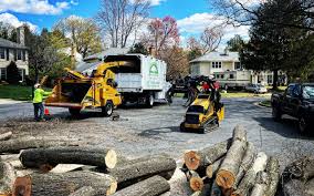 Best Storm Damage Tree Cleanup  in Lynnwood, WA